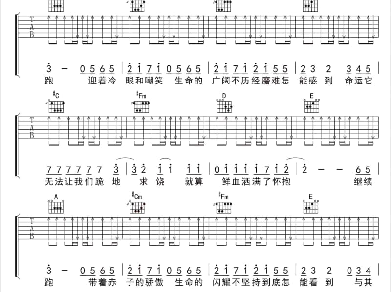 《泪的小花》吉他谱_陈思安