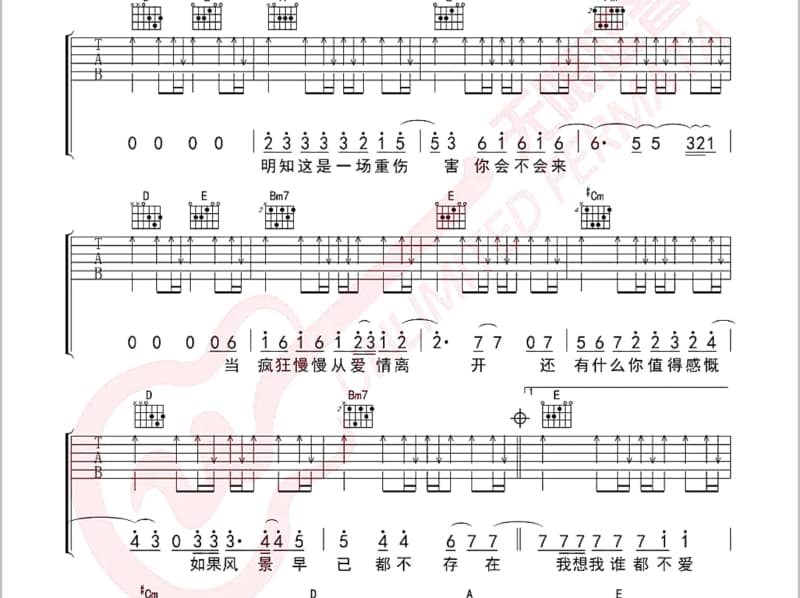 《爱情伤了我害了你》吉他谱_大庆小芳