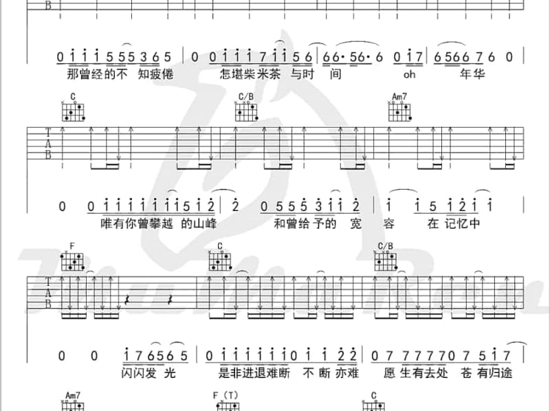 《说不出原谅》吉他谱_戴爱玲