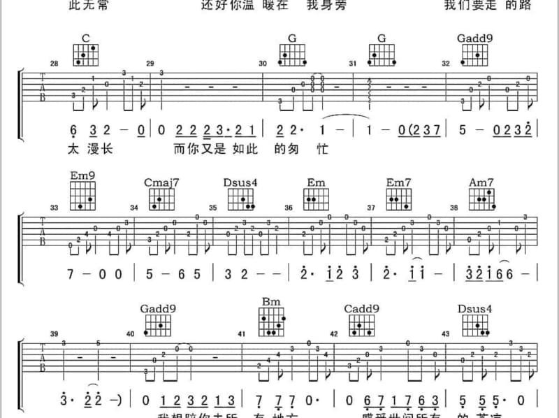 《先生贵姓》吉他谱_戴梦梦