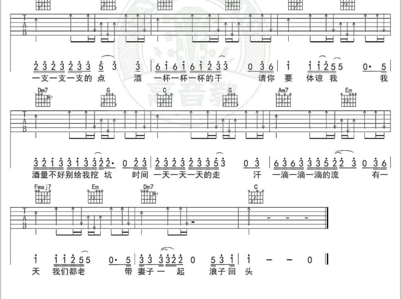 《佳偶天成》吉他谱_Twins