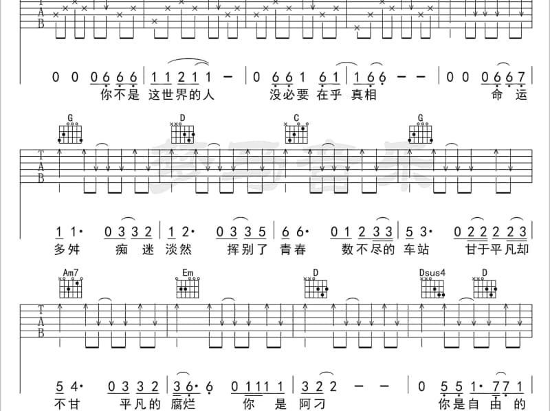 《等风》吉他谱_晴子