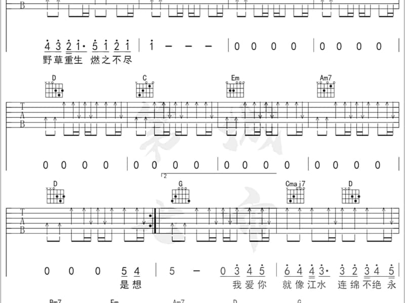 《La Muse De La Auit 夜之缪斯》吉他谱_尚雯婕