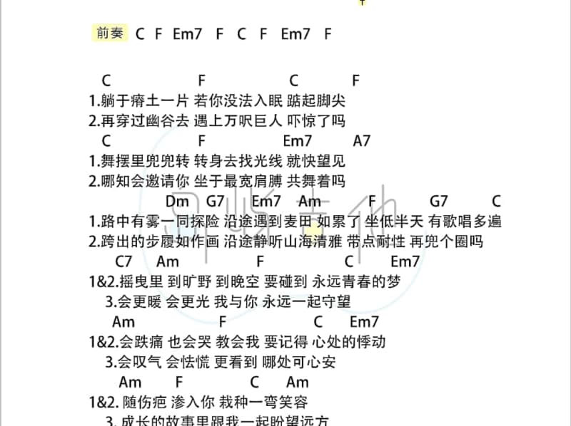 《买醉的人》吉他谱_荒山亮