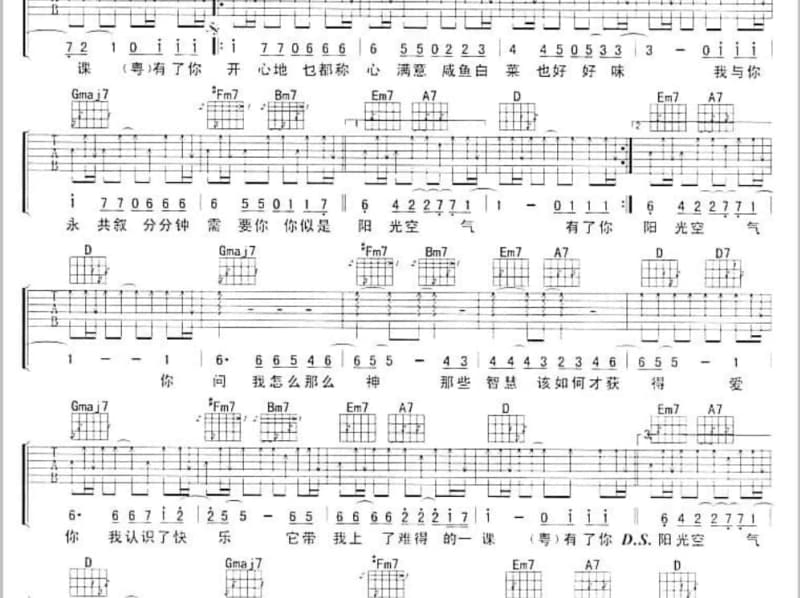 《飞吧鸽子》吉他谱_王珺