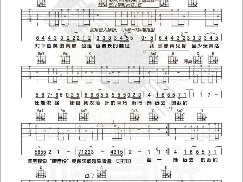 《财运到》吉他谱_笑笑