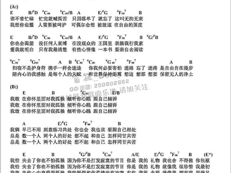 《有一个美丽的地方》吉他谱_燕妮