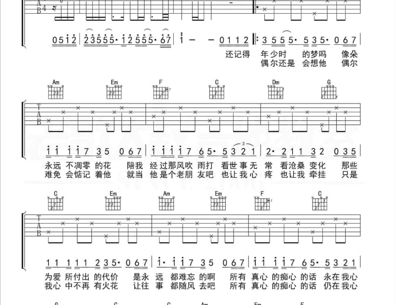 《候鸟》吉他谱_杨洋
