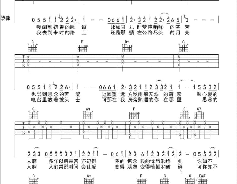 《シンソウノイズ》吉他谱_呦猫UNEKO
