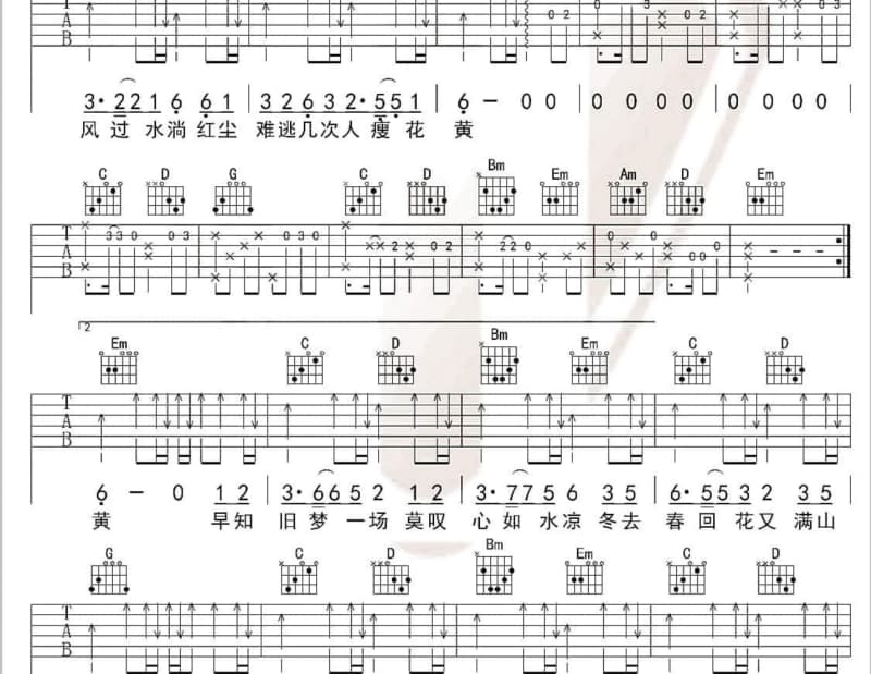 《凋零的花季》吉他谱_雨露