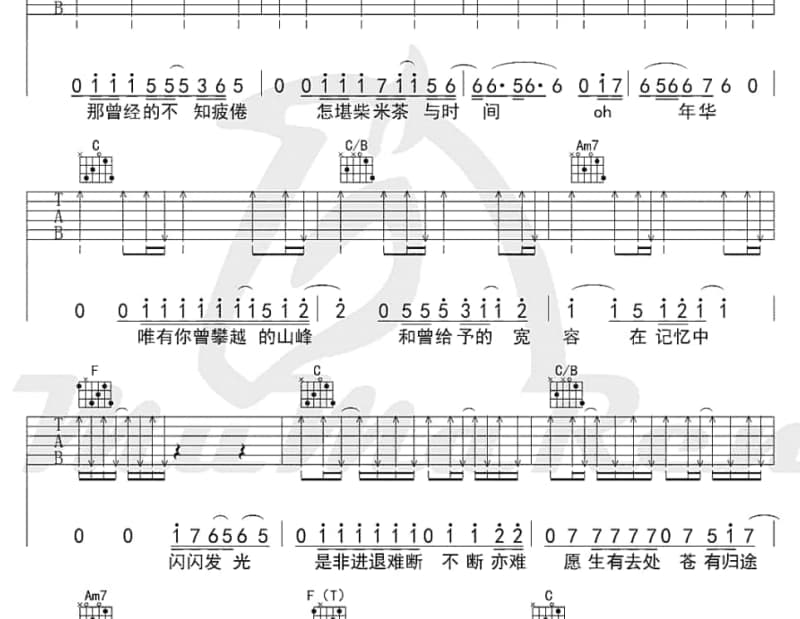 《有光》吉他谱_买辣椒也用券