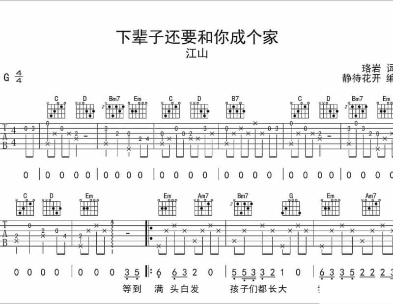 《一醉桃源》吉他谱_张海霞
