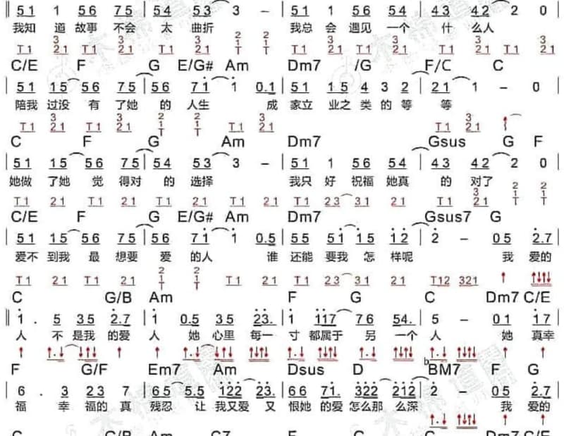 《傻子的心意》吉他谱_张叶蕾
