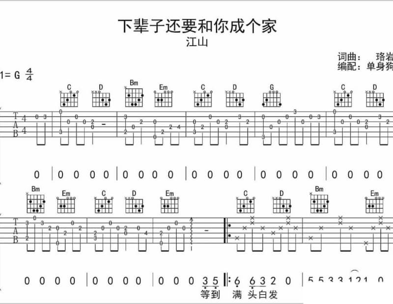 《爱我又恨我》吉他谱_伊能静