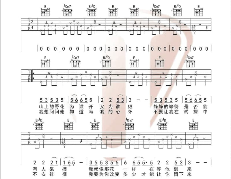 《丁香树》吉他谱_云菲菲