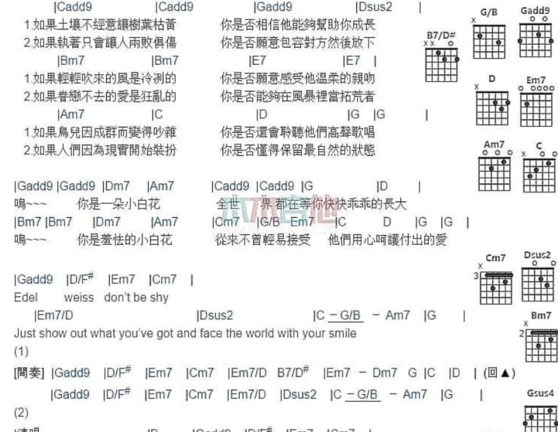 《人生》吉他谱_卓卓玛