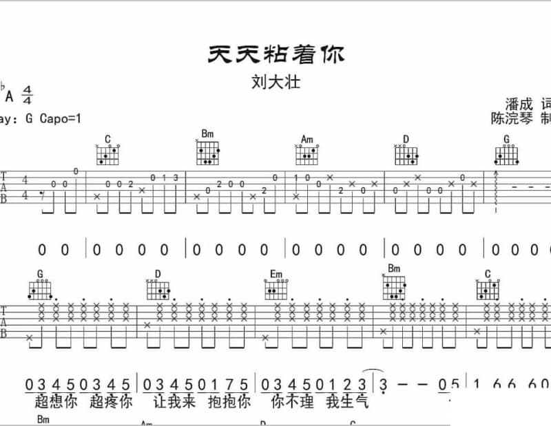 《今天是你的生日》吉他谱_白雪