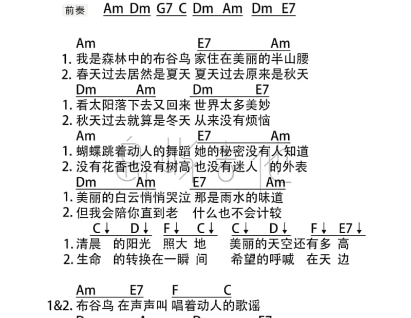 《我家在那里》吉他谱_常安