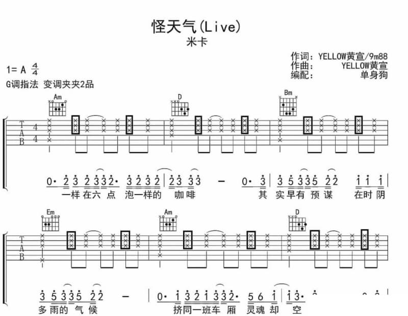《流浪歌》吉他谱_付娜