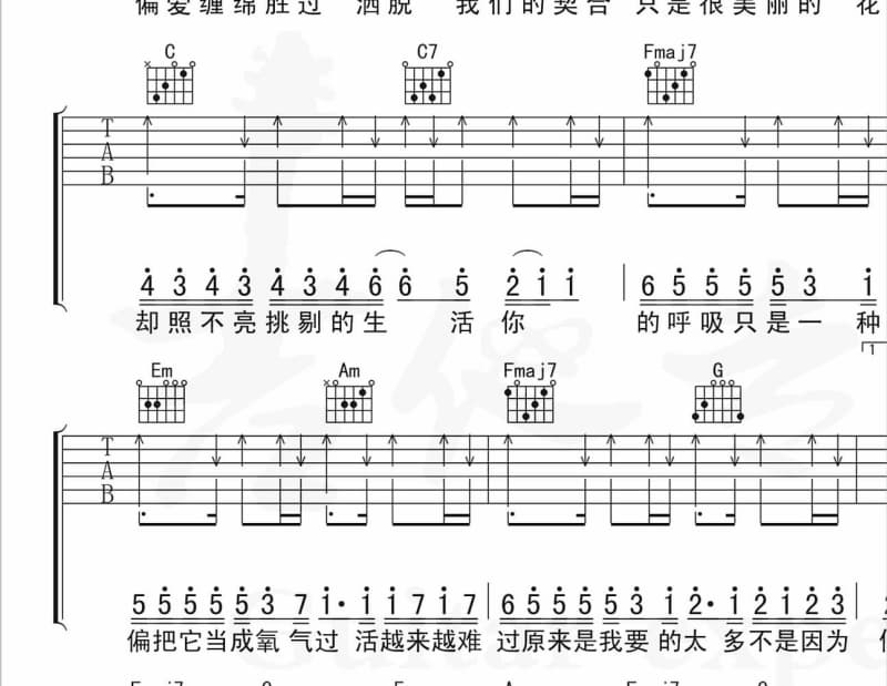 《女人的执着》吉他谱_陈瑞