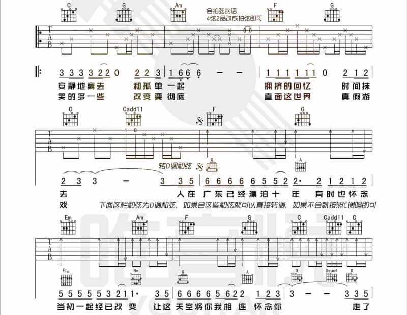 《羊毛卷》吉他谱_陈姿羽