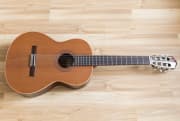 《情已欠费爱已停机》吉他谱_可泽_吉他弹唱谱4/4拍