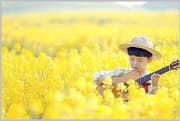 《高山上下了个雪》吉他谱_青海花儿_吉他弹唱谱4/4拍