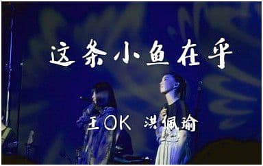 这条小鱼在乎吉他谱_王OK-洪佩瑜_G调指法