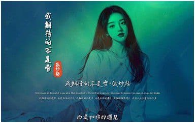 我期待的不是雪吉他谱_张妙格_G调原版弹唱谱