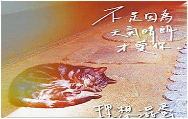 不是因为天气晴朗才爱你吉他谱_理想混蛋_G调原版弹唱谱